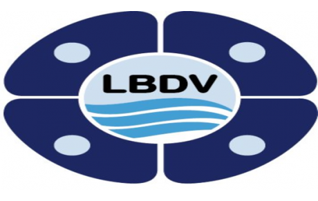 LBDV